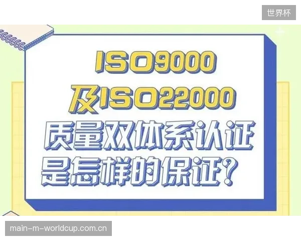 市场上充斥着各式“认证”标签，普通消费者在缺少专业拉力测试知识的情况下，如何有效辨别真伪？